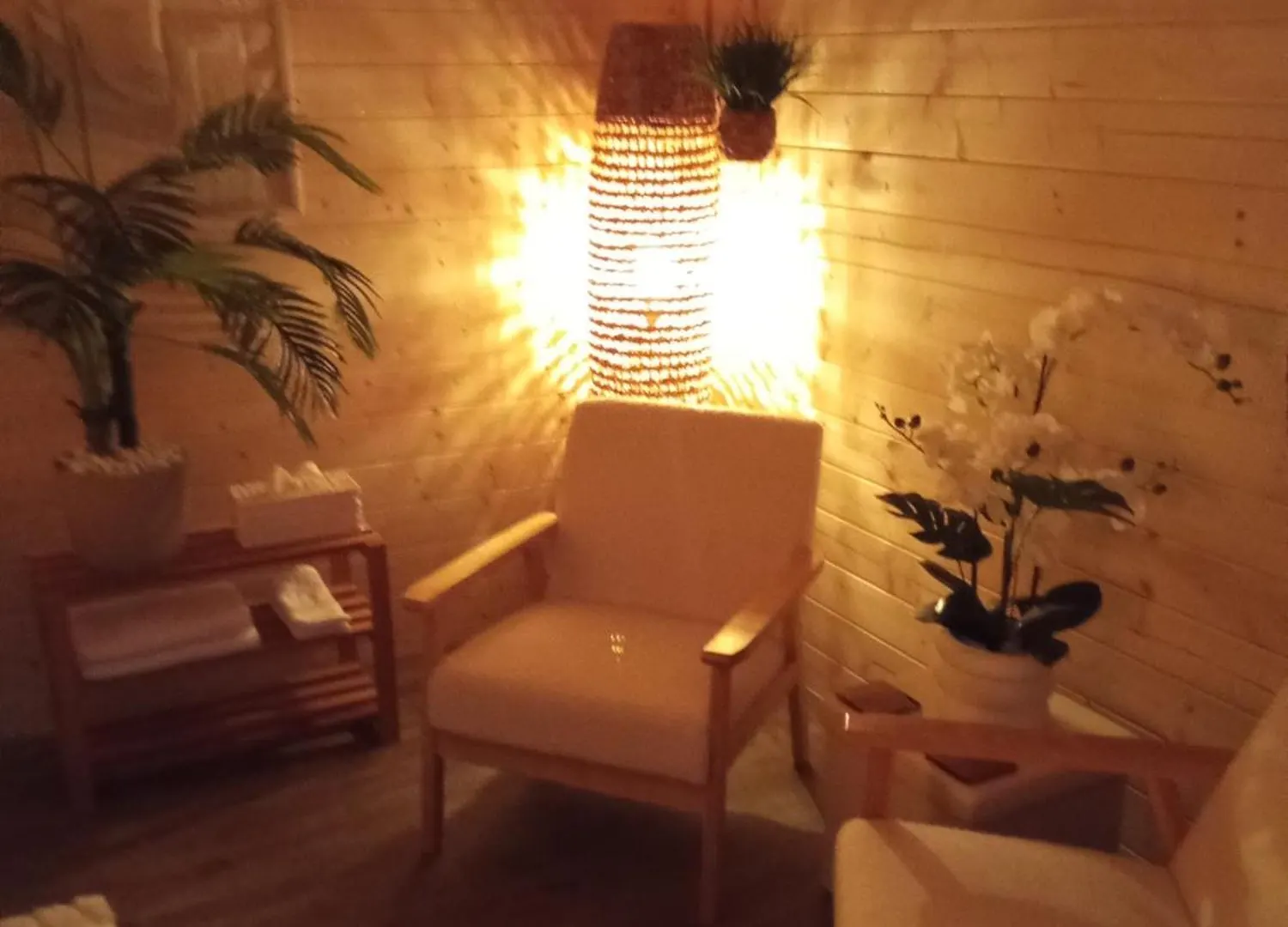 Guest house Suite Climatisee Jacuzzi Prive Lachapelle-Auzac France